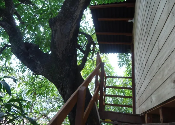 Casa na Árvore Salvador